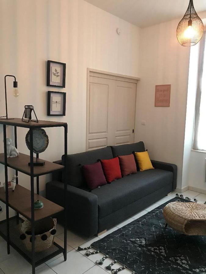 Bord De Tarn Apartment Albi Exterior foto